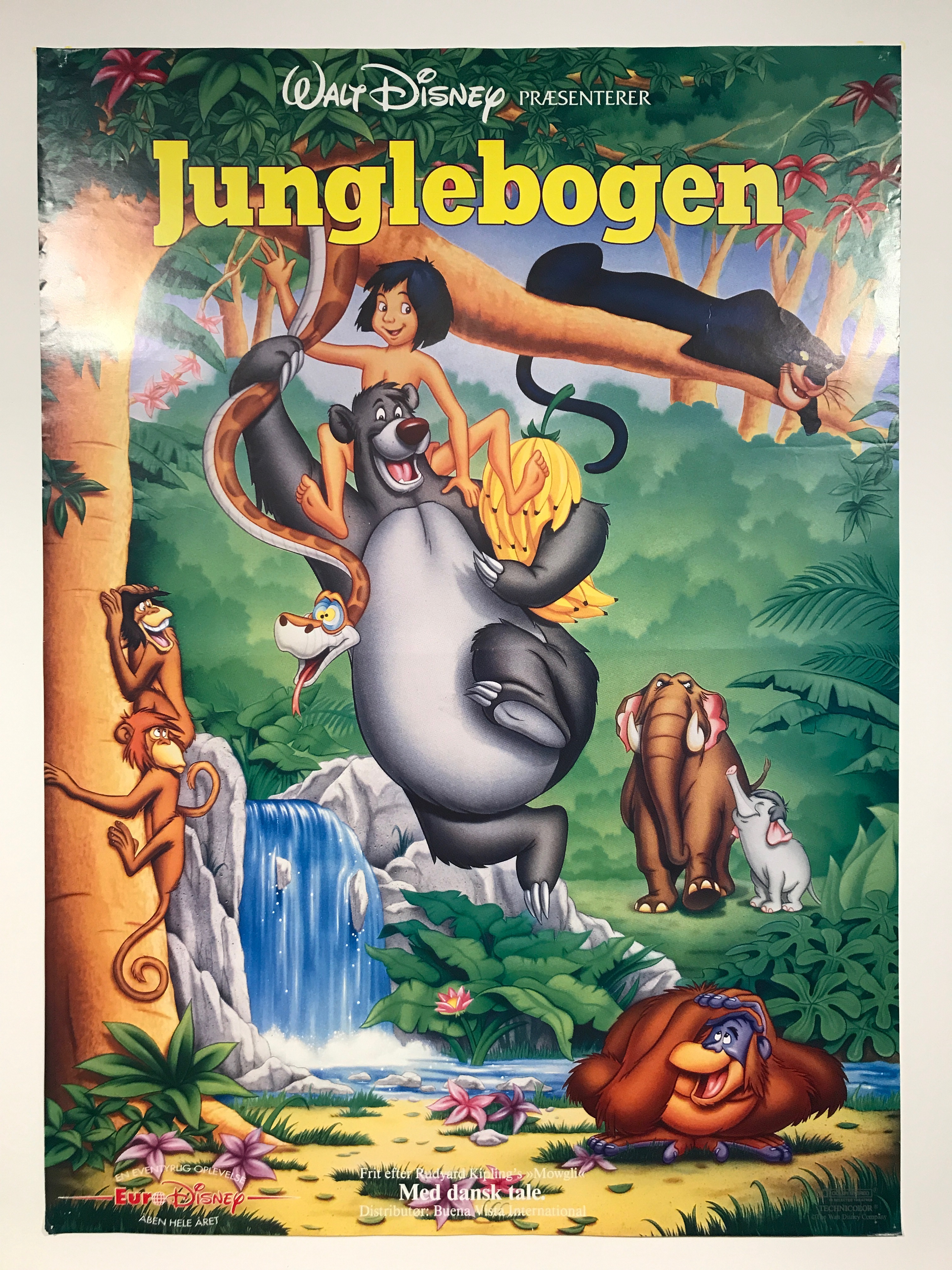 Junglebogen Originale Filmplakater Disney FilmPlakaten